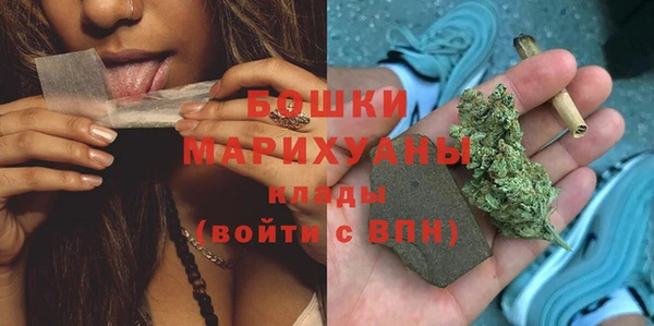 молекула духа Горняк