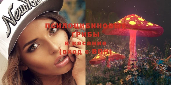 молекула духа Горняк