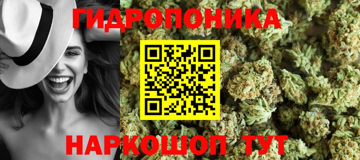 Каннабис сатива Якутск